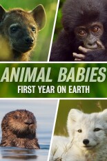 Animal Babies: First Year on Earth