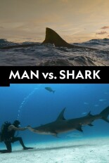 Man vs. Shark