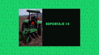 Reportaje 14