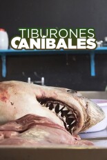 Tiburones caníbales