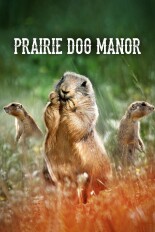 Prairie Dog Manor