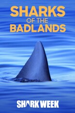 Sharks of the Badlands