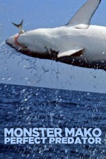 Monster Mako: Perfect Predator