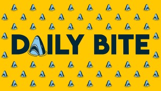 The Daily Bite