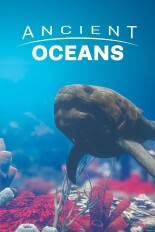 Ancient Oceans