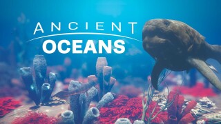 Ancient Oceans
