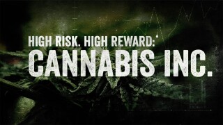 High Risk. High Reward: Cannabis Inc.