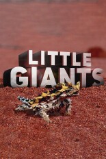 Little Giants