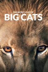 The Secret Lives of Big Cats