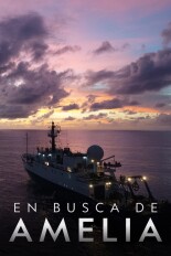 En busca de Amelia