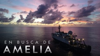 En busca de Amelia