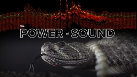The Power of Sound