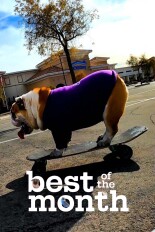 Best Pets of the Month