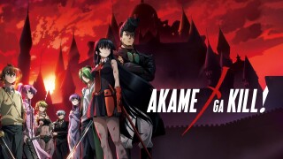 Akame Ga Kill