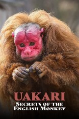 Uakari: Secrets of the English Monkey