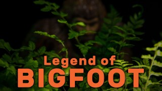 Legend of Bigfoot