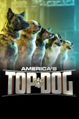 America's Top Dog