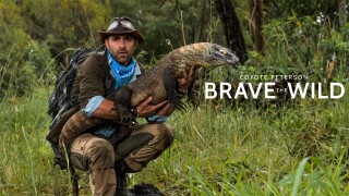 Coyote Peterson: Brave the Wild