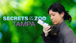 Secrets of the Zoo: Tampa