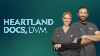 Heartland Docs, DVM