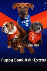 Puppy Bowl XVI: Extras