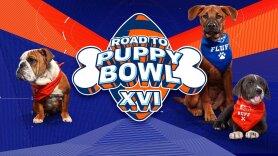 Road to Puppy Bowl