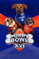 Puppy Bowl XVI