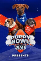 Puppy Bowl XVI Presents