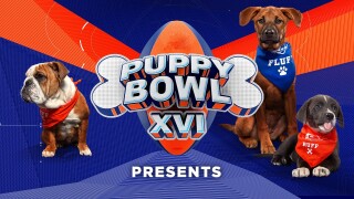 Puppy Bowl XVI Presents