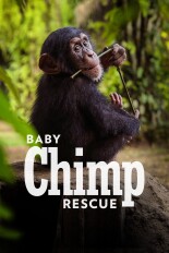 Baby Chimp Rescue