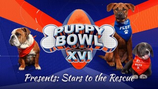 Puppy Bowl XVI Presents: Stars to the Rescue