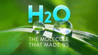 H2O: The Molecule That Made Us