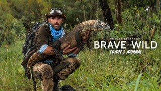 Coyote Peterson: Brave the Wild Coyote's Journal