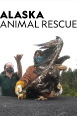 Alaska Animal Rescue