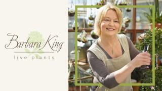 Barbara King: Garden & Live Plants
