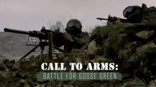 Call To Arms: Battle For Goose Green