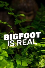 Bigfoot Is Real