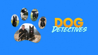 Dog Detectives