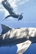 Goliath Fishing