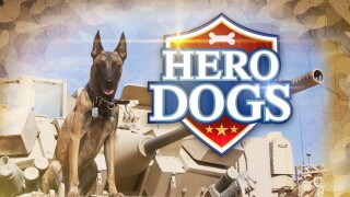 Hero Dogs