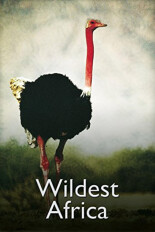 Wildest Africa