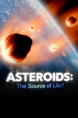 Asteroids: The Source of Life?