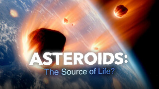 Asteroids: The Source of Life?