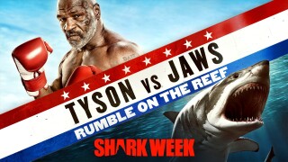 Tyson vs. Jaws: Rumble on the Reef