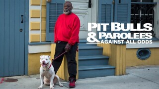 Pit Bulls & Parolees: Against All Odds