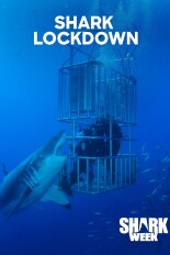 Shark Lockdown