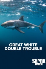 Great White Double Trouble