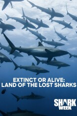 Extinct or Alive: Land of the Lost Sharks
