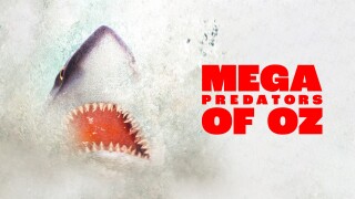 Mega Predators of Oz