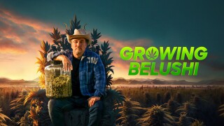 Growing Belushi